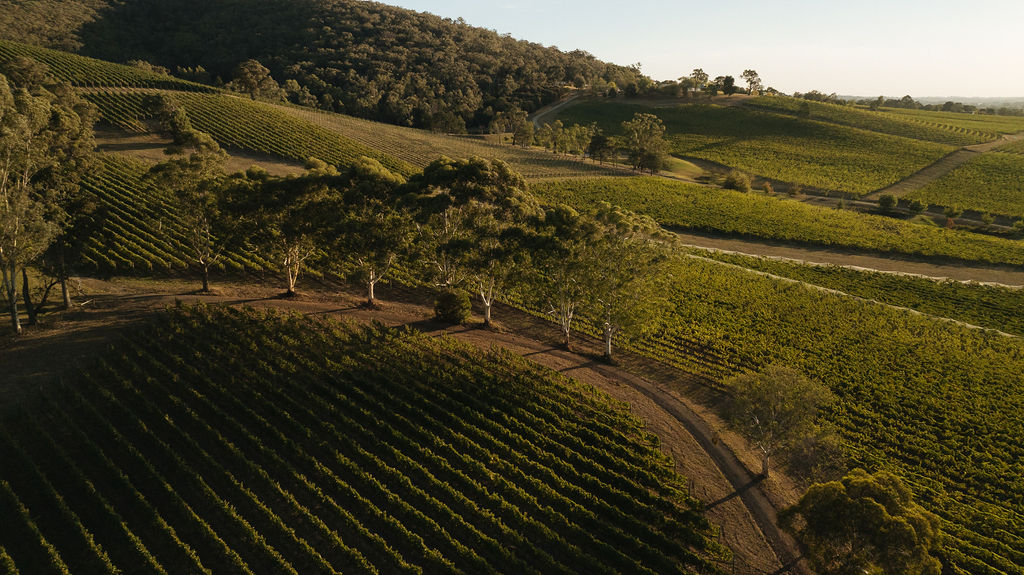 Yarra Valley